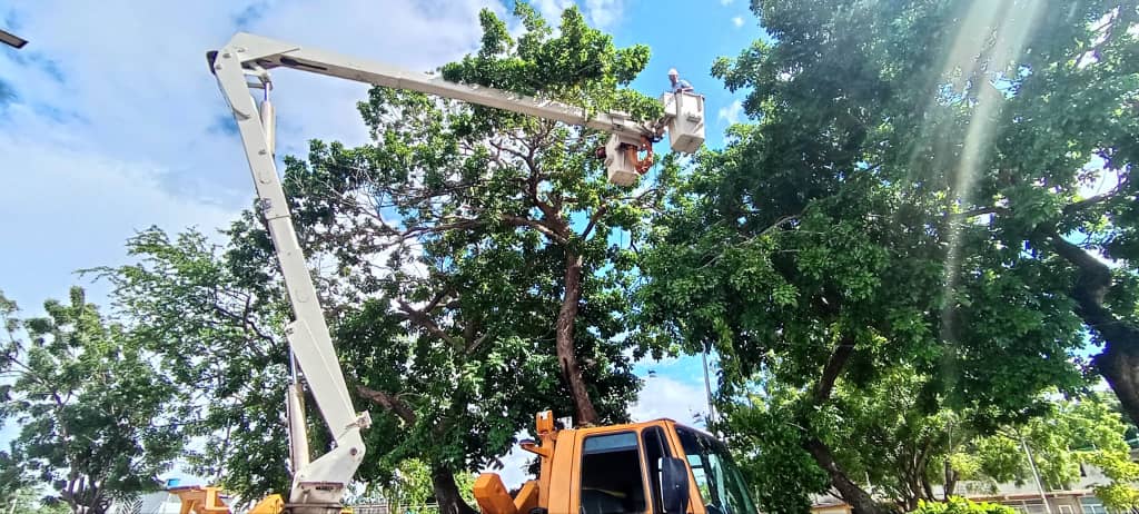 CORPOELEC atiende más de 3 mil solicitudes en Guárico a través de la VenApp   