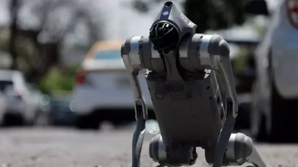 Tecnología al servicio de la sociedad:Presentan nuevo perro robot que protege a los animales