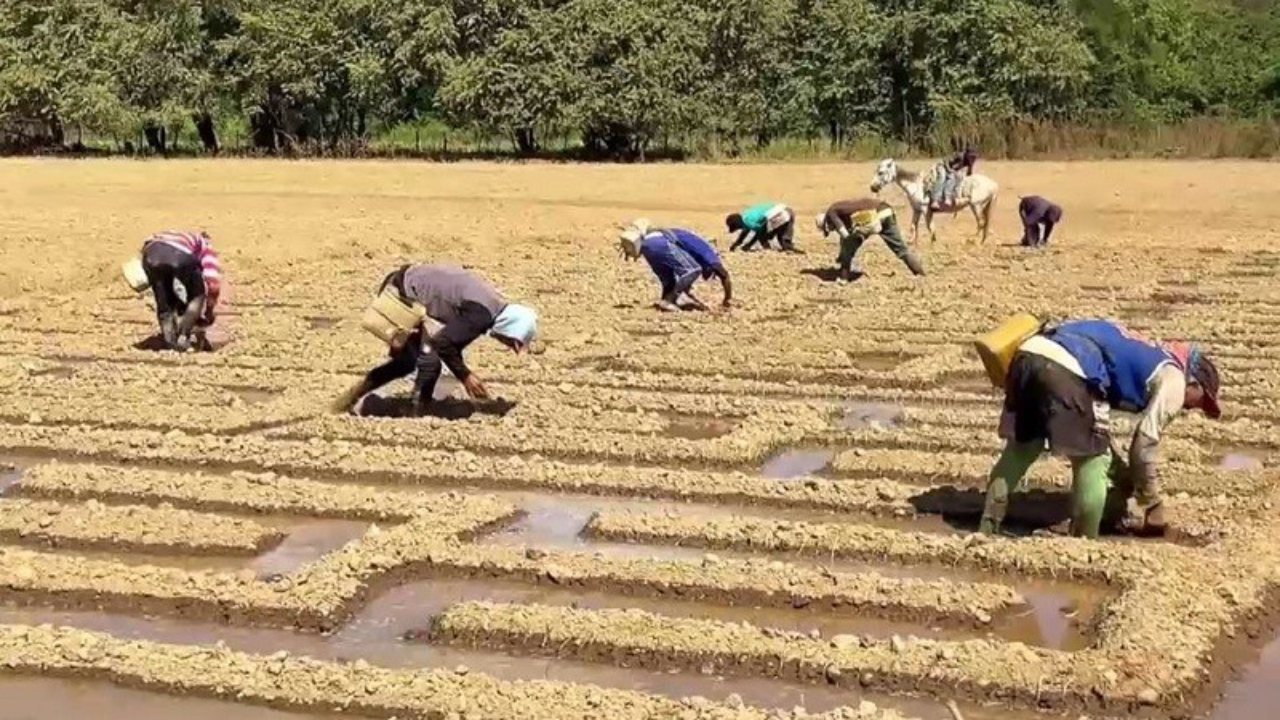  Productores de Guárico piden una mayor protección y seguridad en el campo