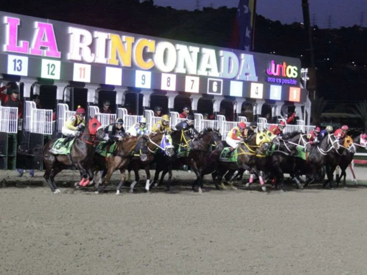 Hipismo: Correrán 12 carreras en Caracas